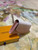 LV M60145 Louis Vuitton Iris Wallet Gradient Pink