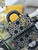 Dior S0910 Micro Lady D-joy Bag Embroidery crystal black