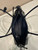 Prada 1BA426 Medium leather handbag Black