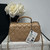 Chanel AS2431 Mini Classic Handbag With Top Handle Lambskin CC19019