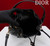 Dior Small Caro Bucket Bag Powder Black Macrocannage Lambskin M3372