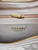 Chanel AS5339 Small Hobo Shiny Lambskin & Gold-Tone Metal Apricot