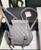 Chanel Backpack Duma Gray Lambskin CC AS2908 Gold