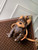 LV M12617 Louis Vuitton Pooch Bag Monogram coated canvas