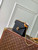 LV M13569 Louis Vuitton Wallet On Chain Rosy Bag Black