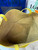 Loewe Medium Puzzle Fold tote in shiny calfskin A657G50X01 Yellow