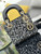 Dior S0856 Micro Lady Dior Limited edition Embroidered Beaded Black