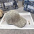 Dior Hats Designer Dior Sun Cap D80041