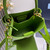 Prada 1BA217 Panier small Saffiano leather bag green