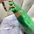 Chanel AS4923 Large Hobo Shiny Lambskin & Gold-Tone Metal Green