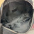 Gucci 834802 GG Canvas Small Crossbody Bag Black