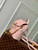 LV M13389 Louis Vuitton Coussin Backpack Mini Pink
