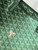 Goyard Artois PM Bag PMLTY09CL09P Pearly Green