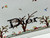 Dior M1354PEHR_M28I Medium Dior Book Tote with Strap  M9714
