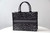 Dior M1296 Dior Small Book Tote Grey Multicolor Mizza Embroidery
