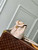 LV M13656 Louis Vuitton Nano Noé Backpack Bicolor Eden