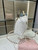 Chanel 25SS Crush With handle box Bag Lambskin AP4591 White