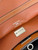 Balenciaga 7897792 Rodeo Handbag Small in Gold Brown smooth calfskin  aged-Silver