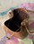 LV M57706 Louis Vuitton NéoNoé BB Bucket Bag M57693 M57691 Honey Gold