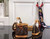 LV M81081 Louis Vuitton Trio Mini Icones Monogram Bag