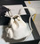 Chanel Backpack Duma White Lambskin CC AS2908 Gold