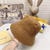 LV Louis Vuitton Hats Designer LV Cap Sun Hat L60003