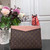 LV M62942 Louis Vuitton Daily Pouch Monogram Canvas Bag M64591 Pink