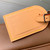 Louis Vuitton LV M27999 Nil XL Bag Caramel