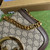 Gucci 699268 Blondie shoulder bag Beige and ebony GG Supreme canvas