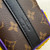 LV M57966 Louis Vuitton Cruiser Messenger Bag Monogram