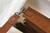 Hermes Evelyne Bag Hermes Mini Crossbody Bag 20399 Silver Buckle Tan