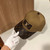 LV L60018 Louis Vuitton Hats Designer LV Cap Sun Hat