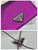 Prada Cardholder with shoulder strap and sequins 1MR024 Purple