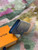 LV M64050 Louis Vuitton Anae Coin Purse Gradient Blue