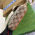 Gucci 650299 The North Face x Gucci Belt Bag