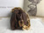 BV 620230 Bottega Veneta Chain Pouch Raintree Bag 92020 Strap 25cm Dark Brown Gold