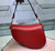 Dior M0446 Dior Saddle Bag M0447 Red Goatskin Gold Hardware