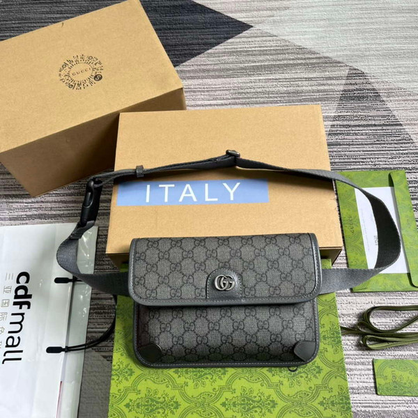 Gucci 752597 Ophidia GG Small Belt Bag Grey