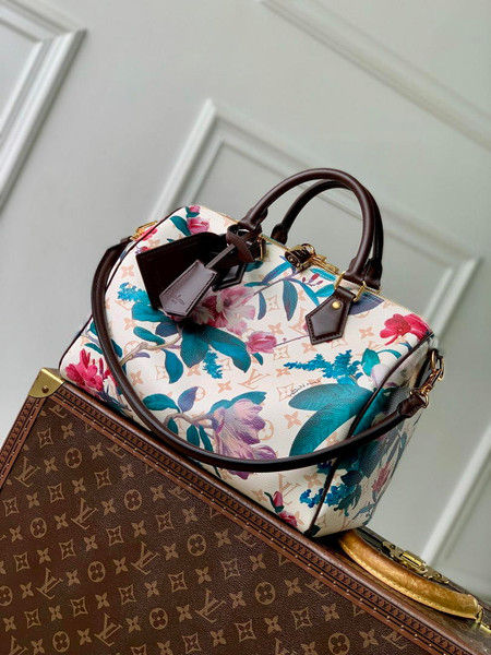 Louis Vuitton LV M29066 Speedy Sofe 30 Bag Other Monogram Canvas