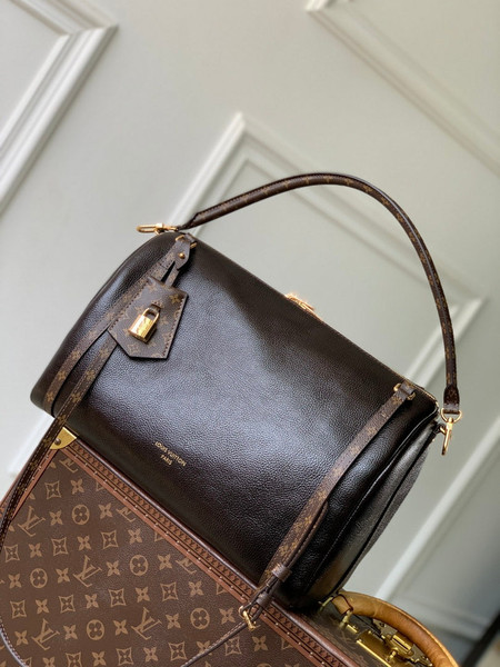 LV M26359 Louis Vuitton Express MM Bag Monogram Saga/Acajou