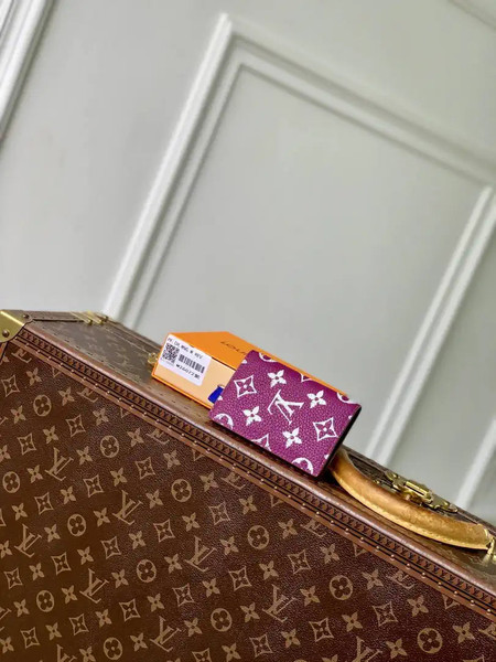 Louis Vuitton LV M26077 Pocket Organizer LW10006
