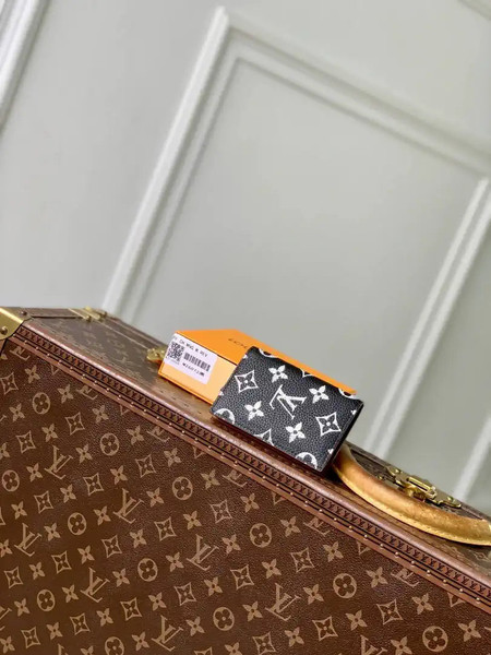 Louis Vuitton LV M26075 Pocket Organizer LW10004
