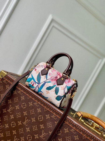 LV M29149 SS26 Collection Louis Vuitton Nano Speedy Bag Other Monogram Canvas