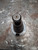 Erickson CAT45 TG100 Collet Chuck CV45TG100C400 4in Projection CNC Tool Holder