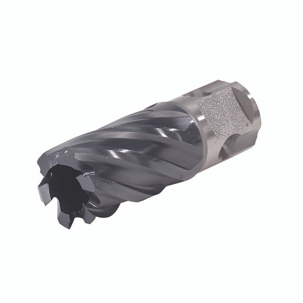 Walter 1" X 1" DEPTH ICECUT™ ANNULAR CORE CUTTERS Universal Shank 05F100