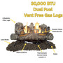 image of the black forest 24" gas logs feature callouts