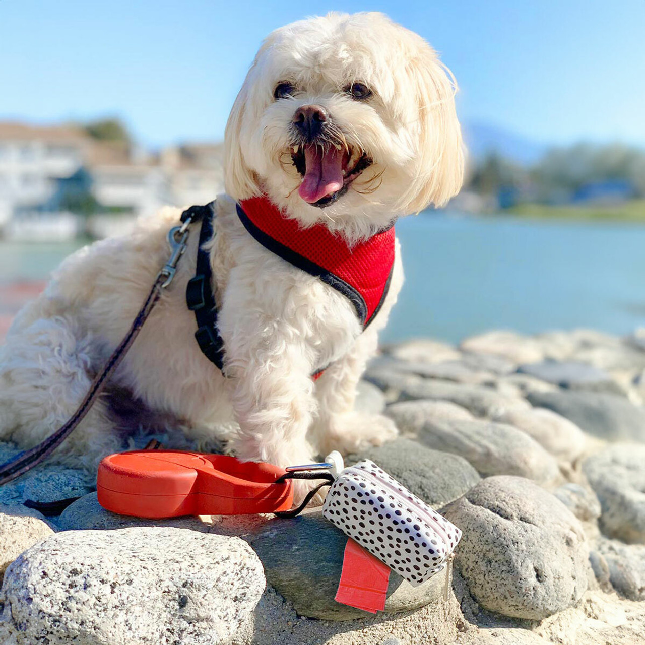 Leash Bag Holders