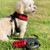 Red Check Duffel Poop Bag Dispenser with Black Unscented Tie Handle Dog Waste bags with Adjustable Hook- and-Loop Strap and Metal Carabiner Clip On Leash with Dog Sitting