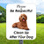 10"x 12" Aluminum Sign: Be Respectful Clean Up After Your Dog