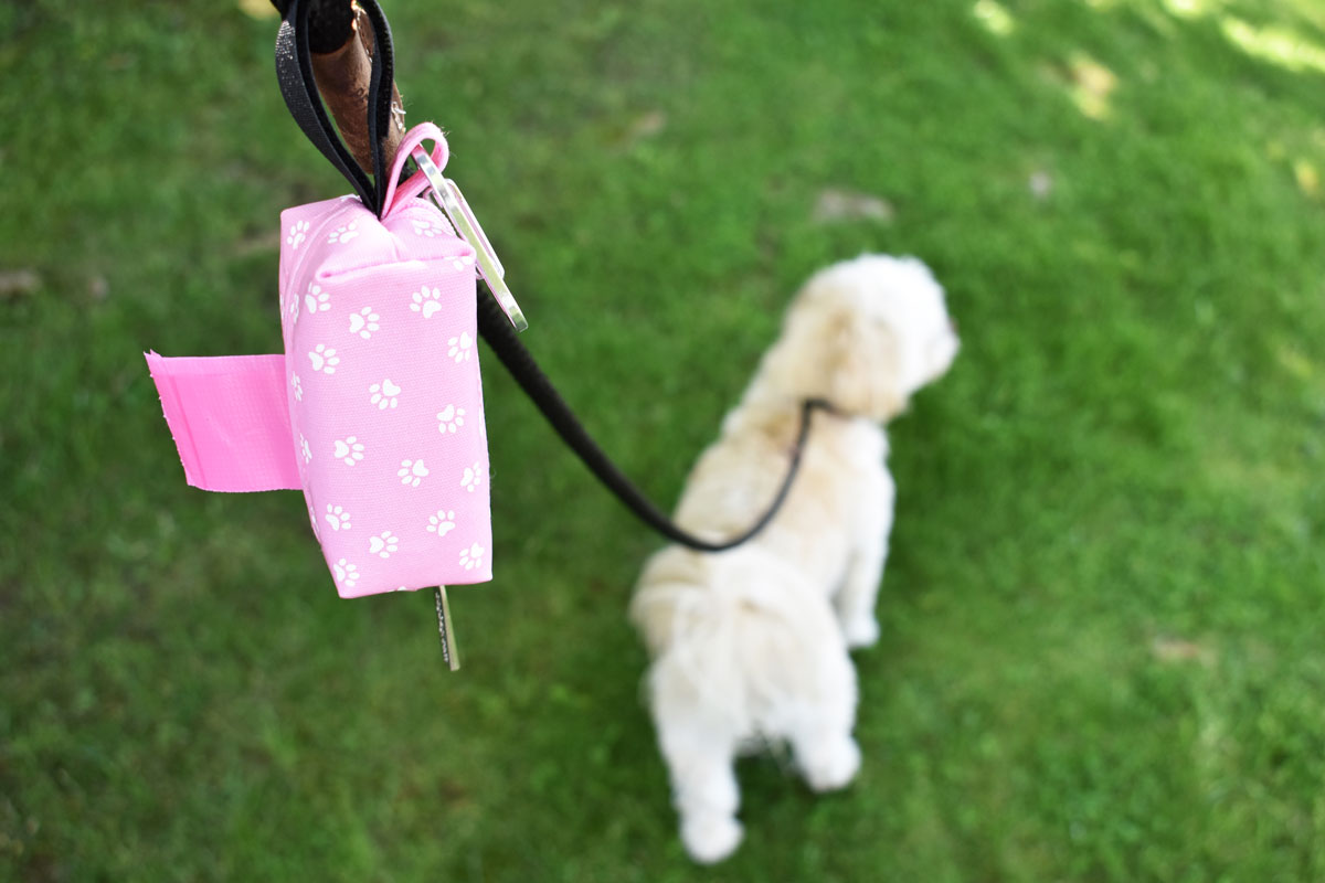 Pink paw duffel dispenser on a leash with a dog